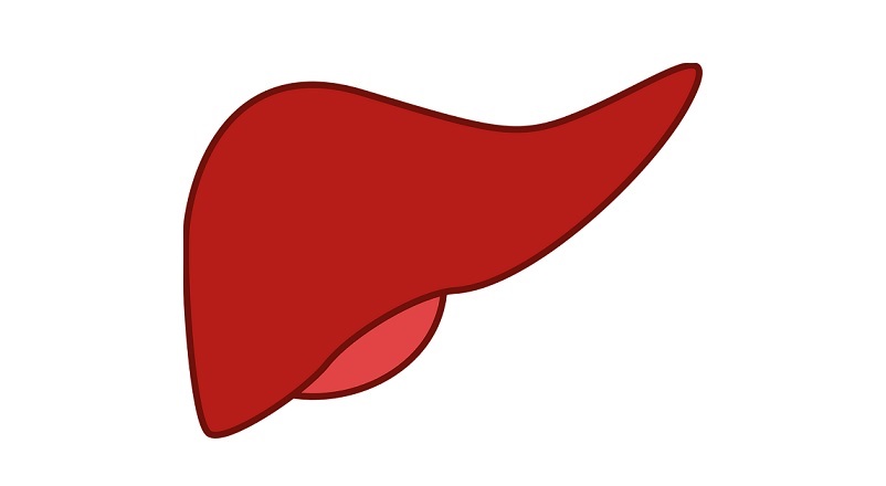 Liver Cancer - A serious risk of death