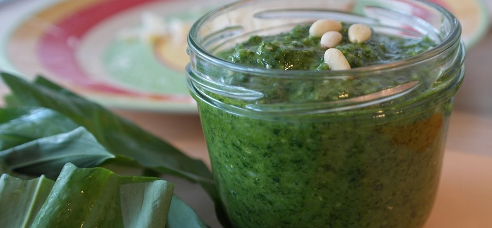 Evergreen Pesto Recipe